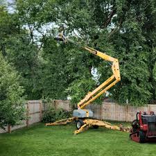 Best Tree Removal  in Carlisle Rockledge, AL