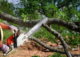 Best Emergency Tree Removal  in Carlisle Rockledge, AL