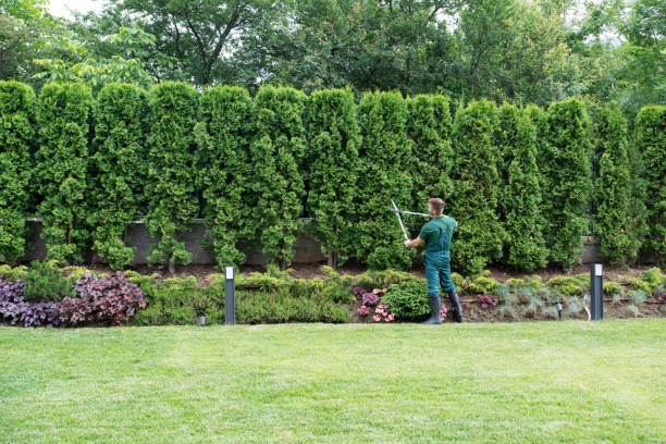 Best Fruit Tree Pruning  in Carlisle Rockledge, AL